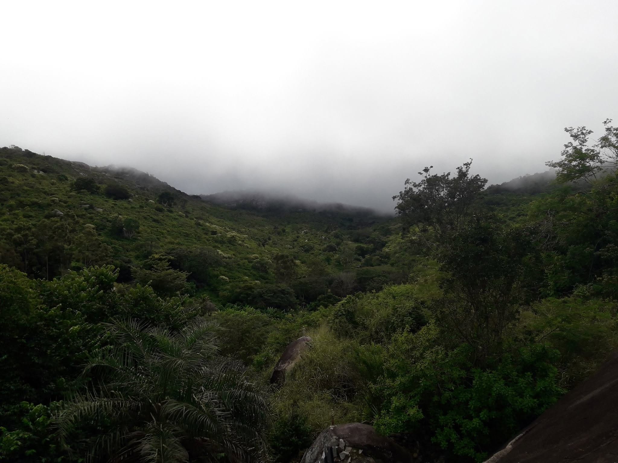 Natureza serrana de Pesqueira